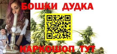 эйфоретик Кингисепп