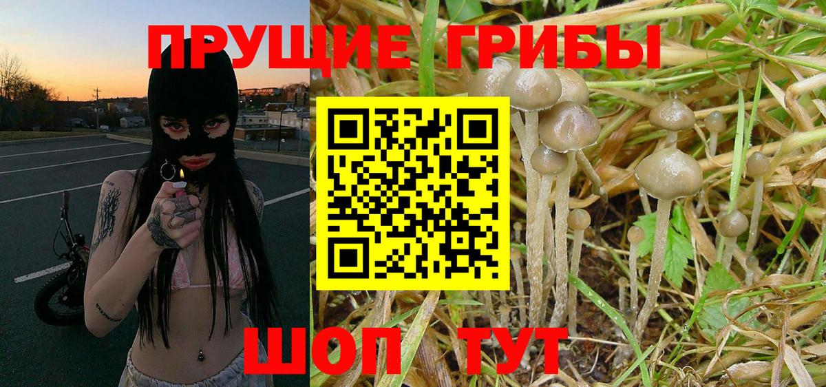 Геленджик  Псилоцибиновые грибы Magic Shrooms  Вход с VPN 